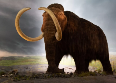 15 حیوان منقرض شده زیبا و ترسناک عصر مدرن و ماقبل تاریخ