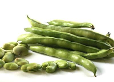 خواص باقالی؛ فواید شگفت انگیز، مضرات پنهان و نکات مهم مصرف خواص باقالی؛ فواید شگفت انگیز، مضرات پنهان و نکات مهم مصرف