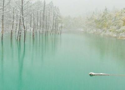 برکه آبی؛ جایی که سکوت جریان دارد برکه آبی؛ جایی که سکوت جریان دارد