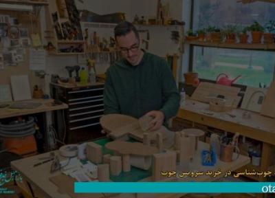 راهنمای چوب شناسی برای انتخاب حرفه ای سرویس چوب راهنمای چوب شناسی برای انتخاب حرفه ای سرویس چوب